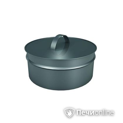 Заглушки Теплов и Сухов Заглушка ревизии Термо-Р 304 0.5 D220(120) в Магнитогорске