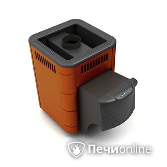 Дровяная банная печь TMF Оса Carbon терракота дверь антрацит в Магнитогорске